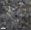 Mxenes-Max 2D Transition Metal Carbonitride Monolayer Monoatomic PT Doped Ti3c2mxene Liquid