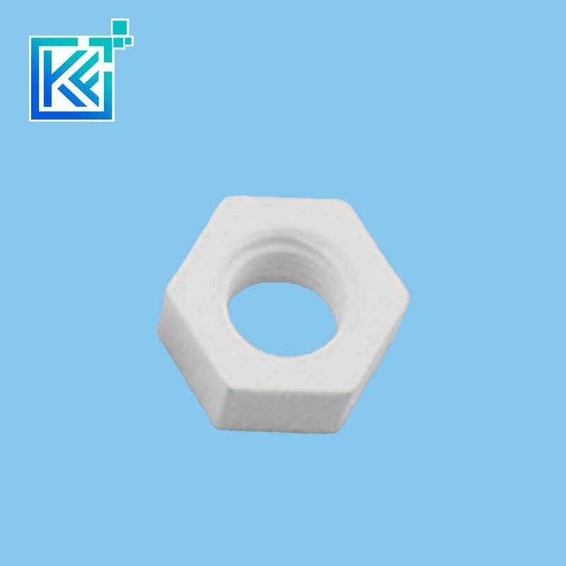 Manufacturer Customerization Wear-Resistant Anti-Corrosion High Temperature Heat-Treatment Sintering MGO Magnesia Industrial Ceramic Fastners Screws