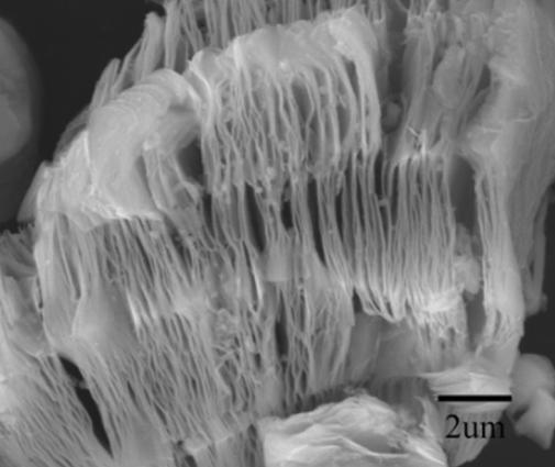 Mxenes-Max 2D Transition Metal Carbonitride Single / Few Layer Powder Material Ti2c Nb2c V2c Powder