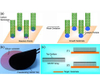 Vertical Array of Transferred Carbon Nanotubes