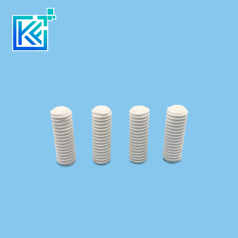 Manufacturer Customization Wear-Resistant Anti-Corrosion High Temperature Insulation Heat-Treatment Sintering Alumina Ceramic Mechanical Screws Fasteners