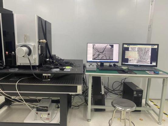 2 Layers Graphene Deposited on Tem Grids Cu Grid