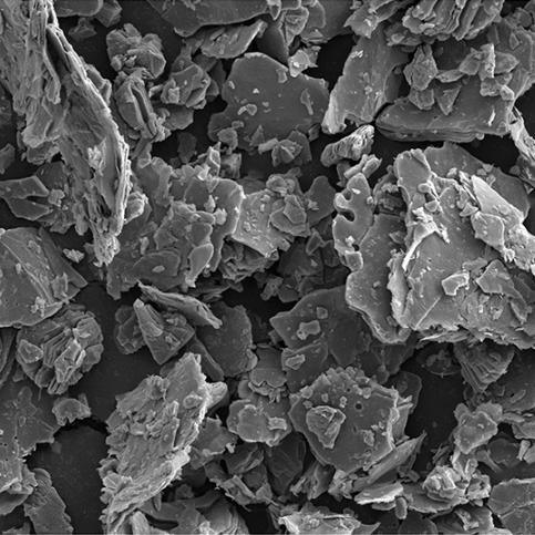 Vertical Array of Transferred Carbon Nanotubes