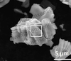 Multi-Layer V2c Mxene by Molten Salt Method Powder