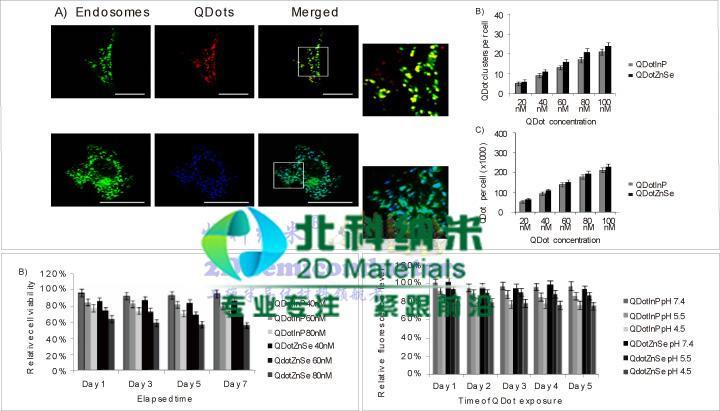 Inp - Zns Quantum Dots