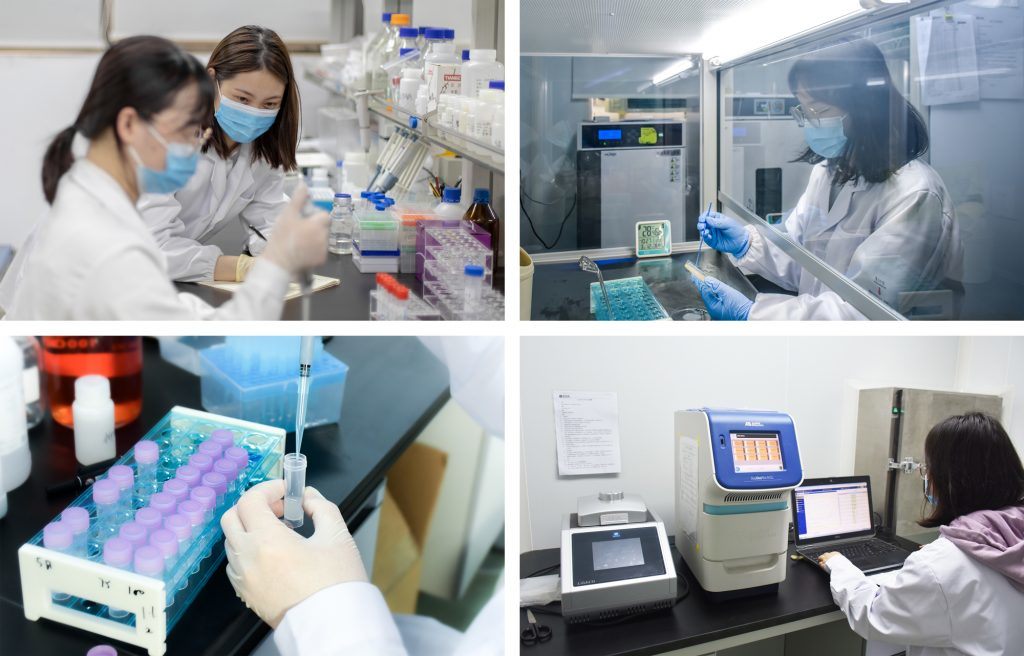 Inp - Zns Quantum Dots