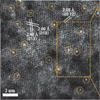 Monolayer monatomic Pt doped with Ti3C2MXene