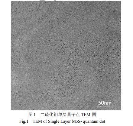 Molybdenum Disulfide Single-Layer Quantum DOT Powder