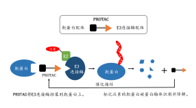 企业微信截图_20240715092615.png 715 926